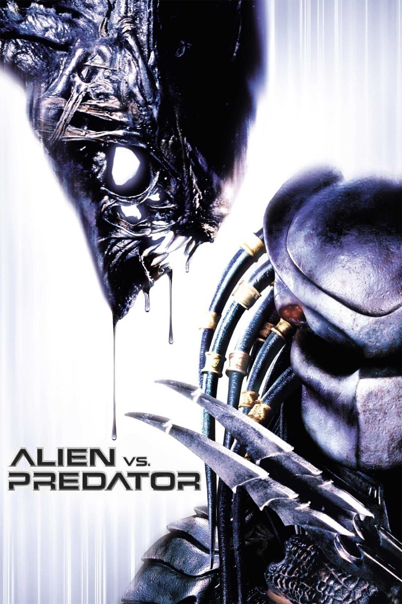 Alien Predator’e Karşı
